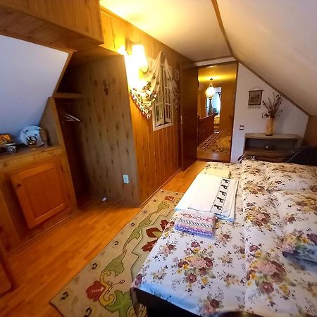 Apartamento Edelweiss Ilinca Zărneşti Exterior foto
