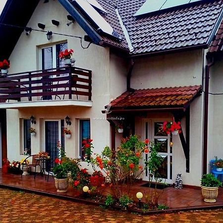 Apartamento Edelweiss Ilinca Zărneşti Exterior foto