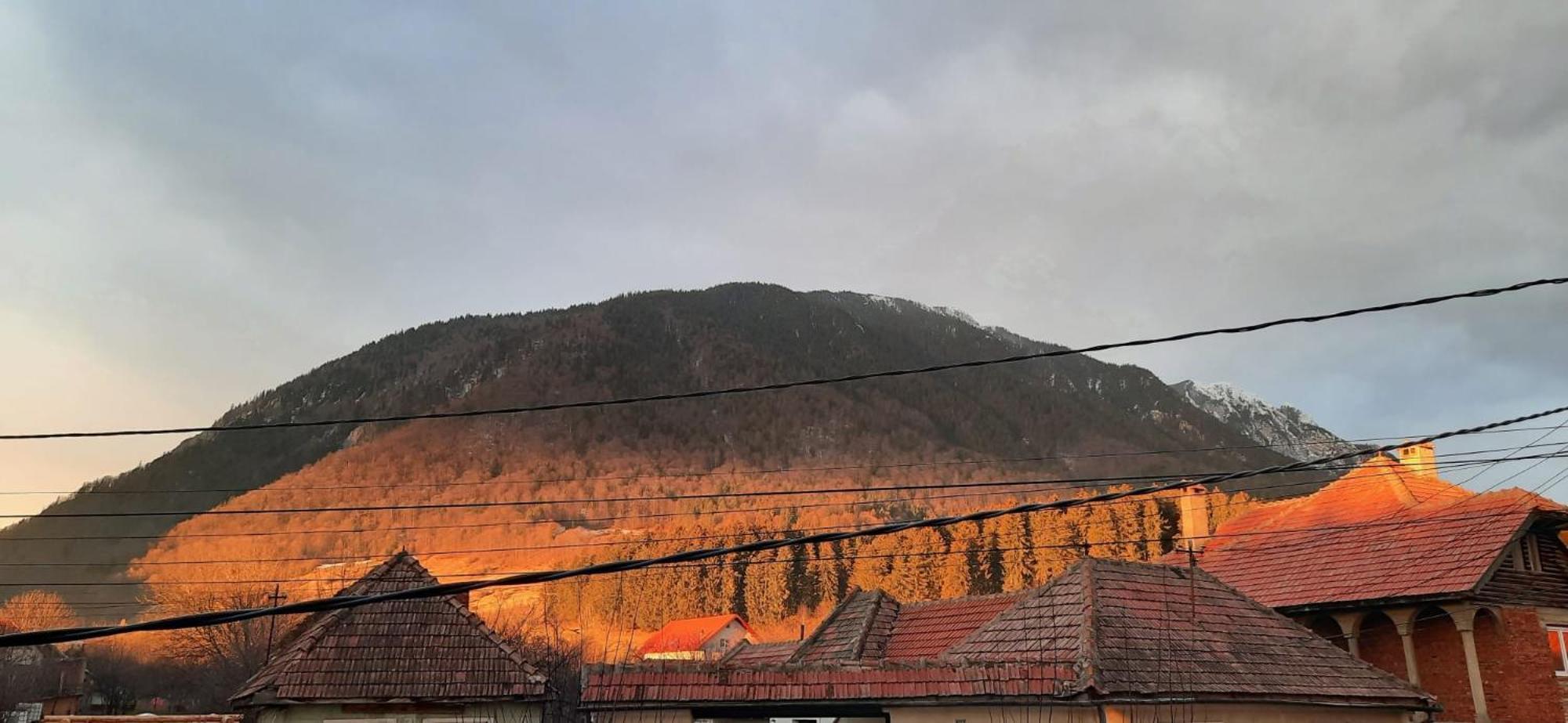 Apartamento Edelweiss Ilinca Zărneşti Exterior foto