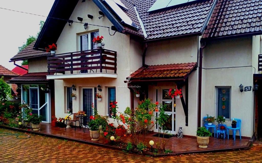Apartamento Edelweiss Ilinca Zărneşti Exterior foto