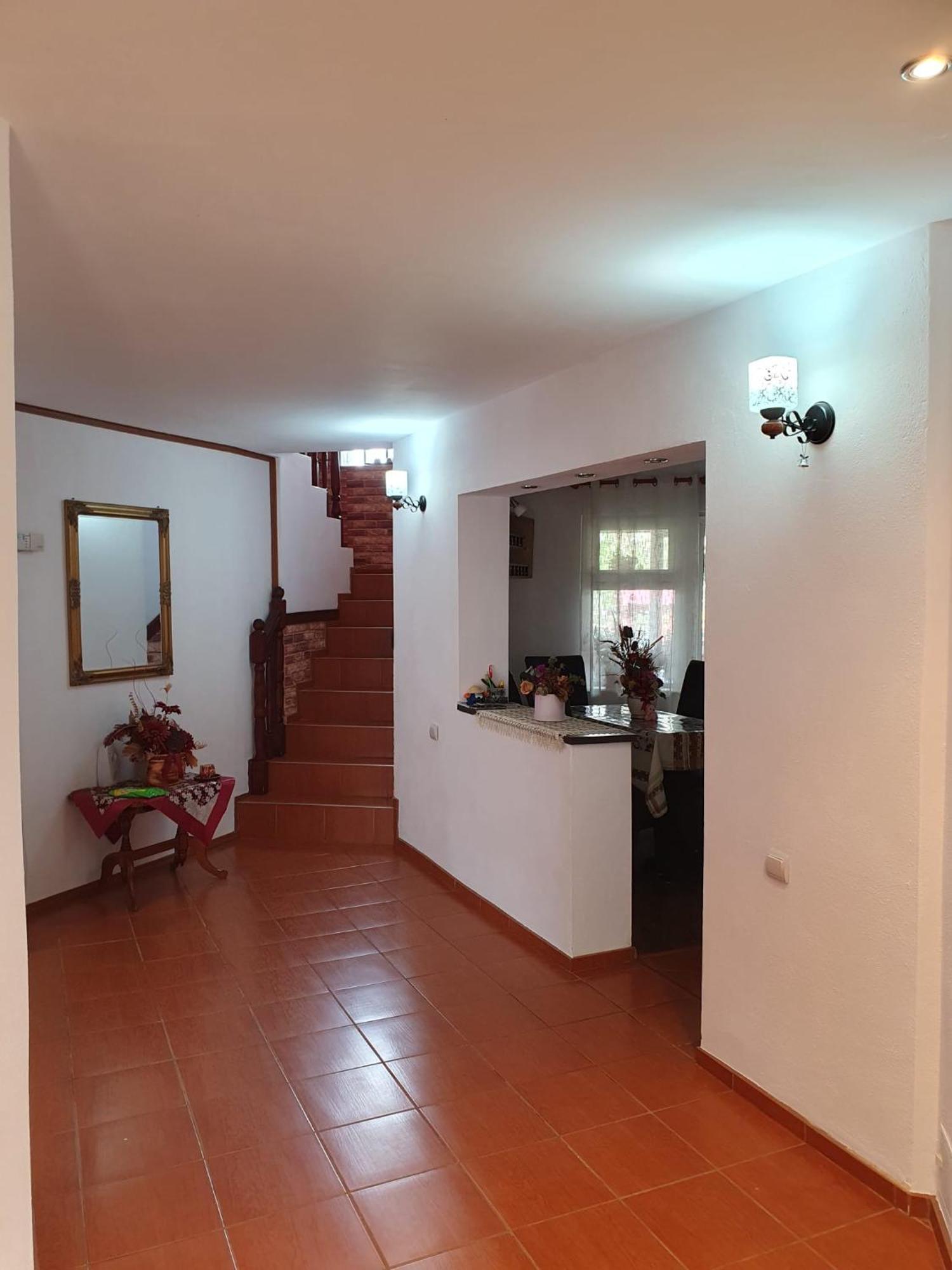 Apartamento Edelweiss Ilinca Zărneşti Exterior foto