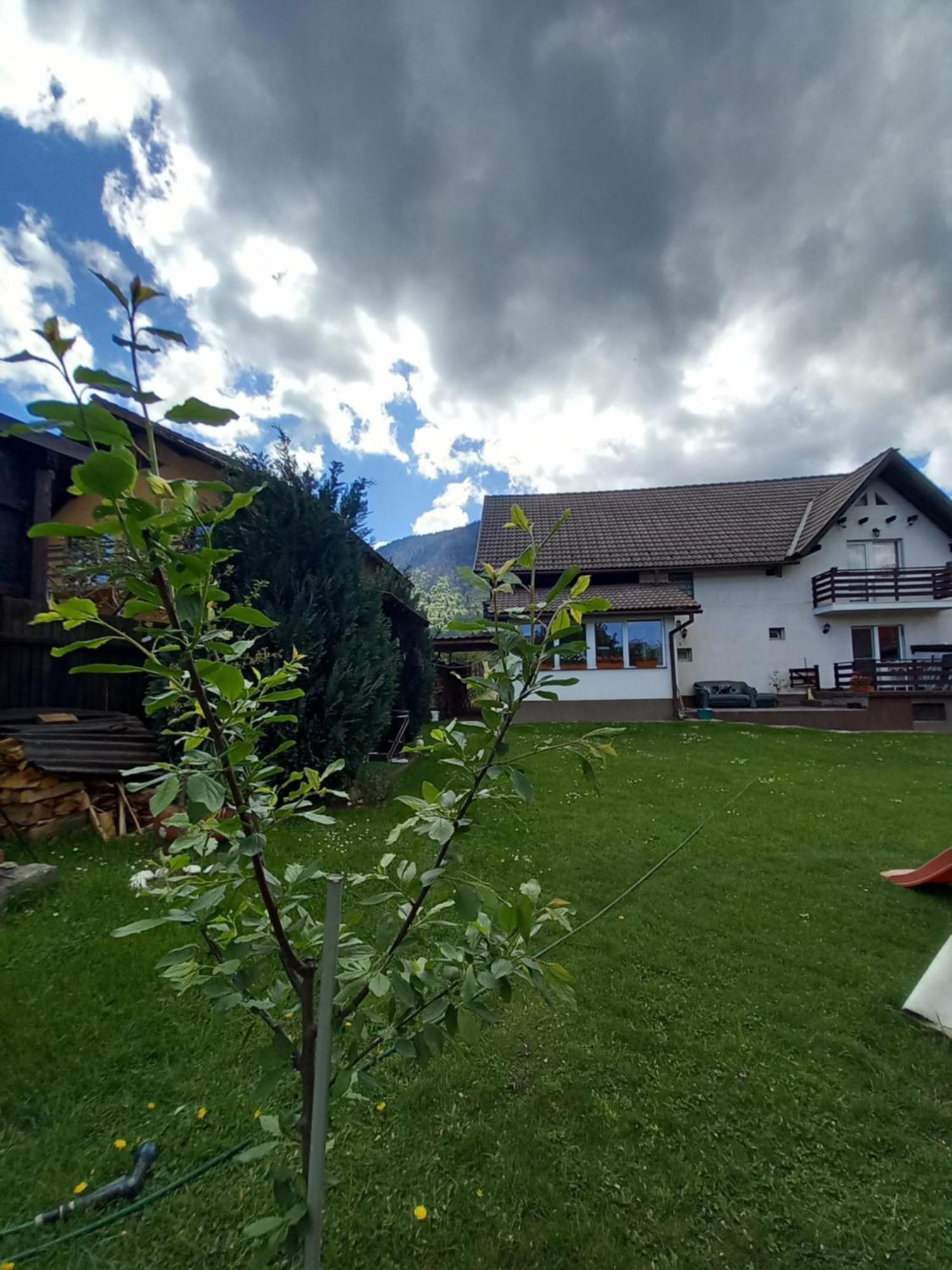 Apartamento Edelweiss Ilinca Zărneşti Exterior foto