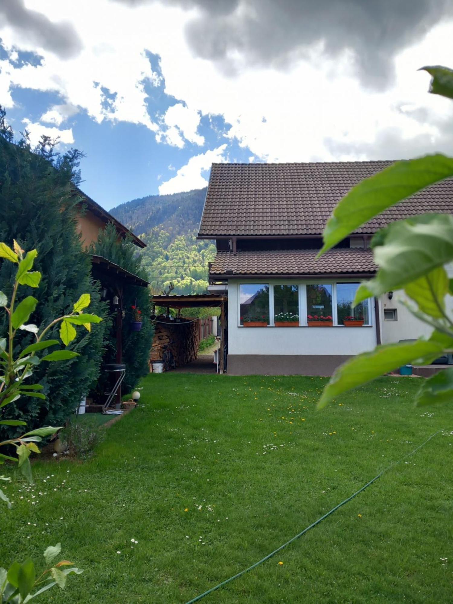 Apartamento Edelweiss Ilinca Zărneşti Exterior foto