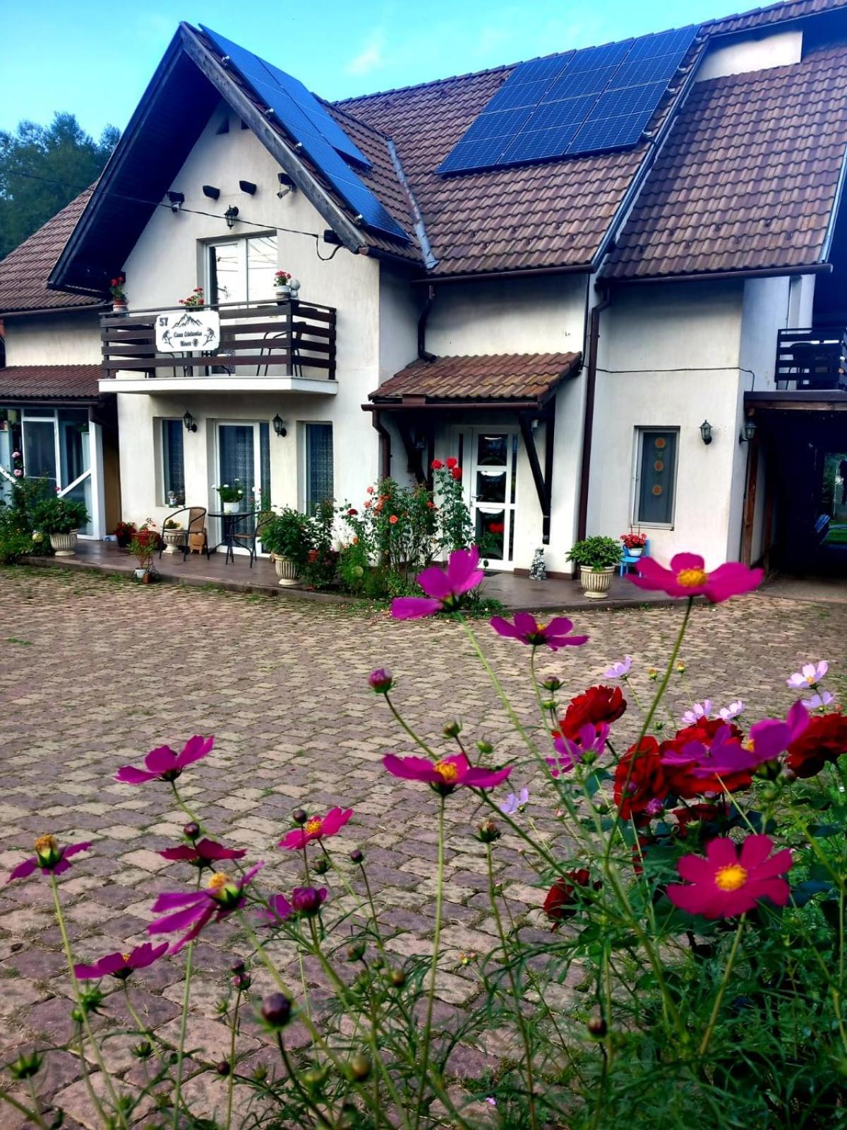 Apartamento Edelweiss Ilinca Zărneşti Exterior foto
